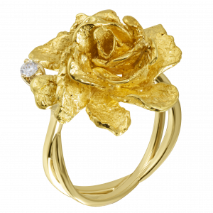 <span style="font-style: italic;">Кольца&nbsp;</span>